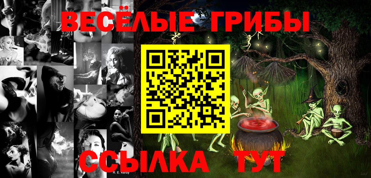 Пугачёв  цена наркотик  Вход с VPN  Галлюциногенные грибы GOLDEN TEACHER 