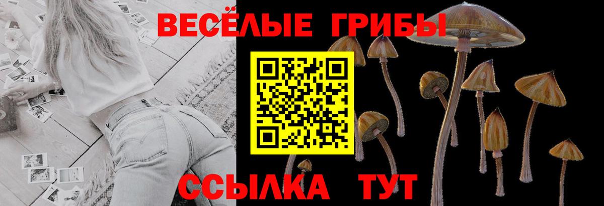 Галлюциногенные грибы MAGIC MUSHROOMS Пугачёв
